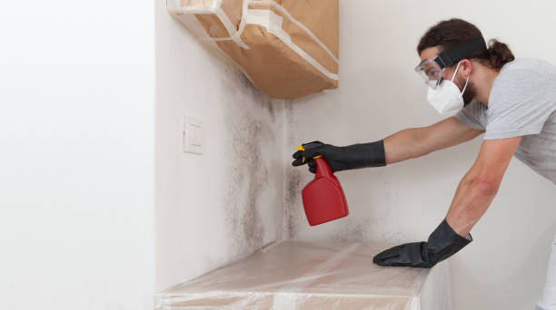 Professional Mold Removal technician working in Wilmington, NC