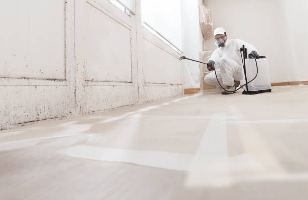 24/7 Emergency Mold Removal experts in Wilmington, NC