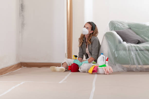 Reliable Mold Removal contractor in Wilmington, NC by 24 Hour Mold Removal